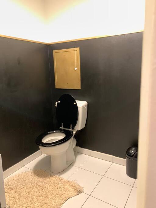 Appartement Moderne Et Spacieux Proche Paris Alfortville Kültér fotó